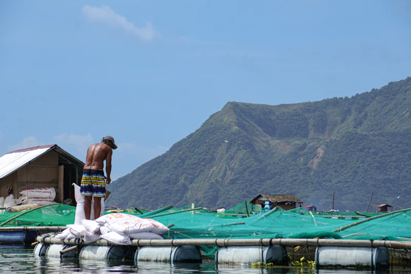 Filipino fisherman working on a floating fish pen at Taal Lake, Batangas